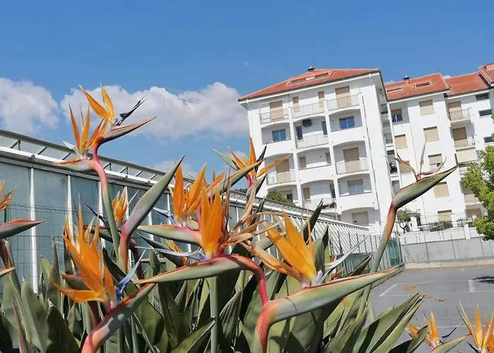 Mare Verde Alloggio Con Terrazza
